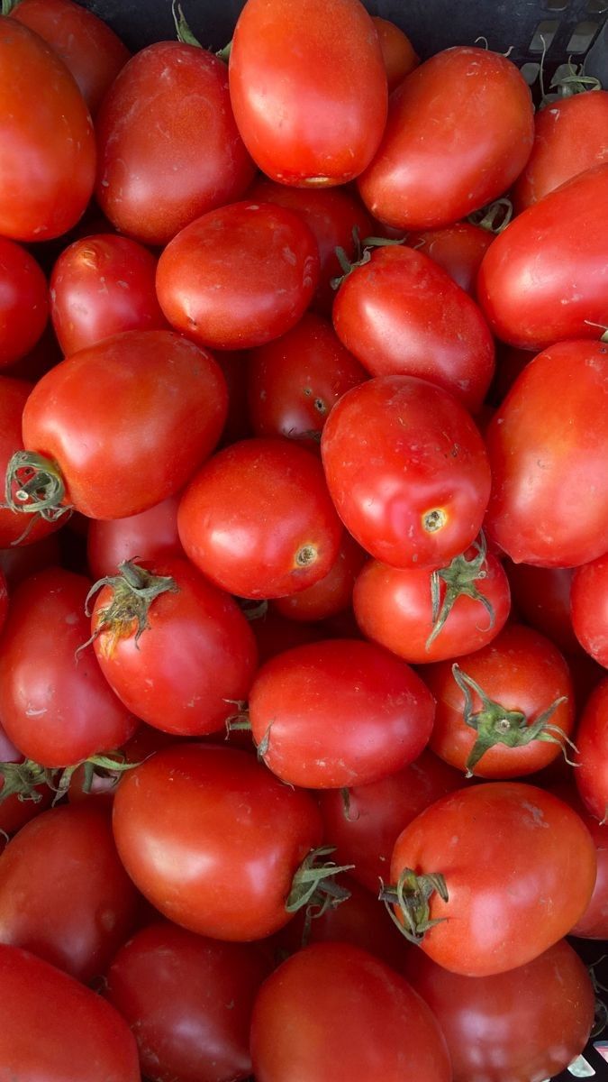 Tomate Perita