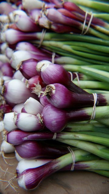 Cebolla verde